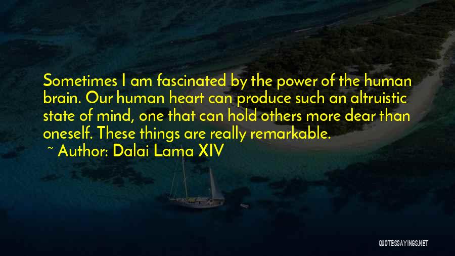 Dear Brain Quotes By Dalai Lama XIV
