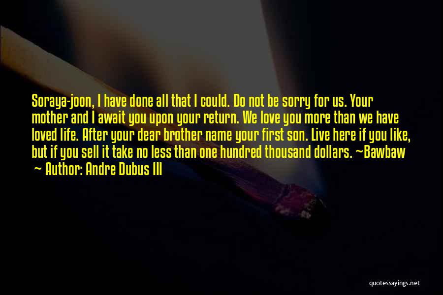 Dear Brother Quotes By Andre Dubus III