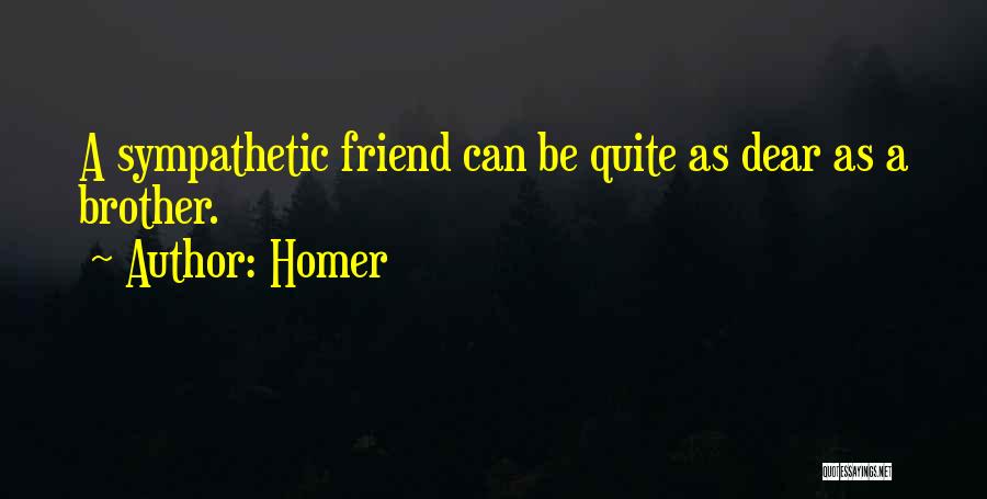 Dear Brother Quotes By Homer