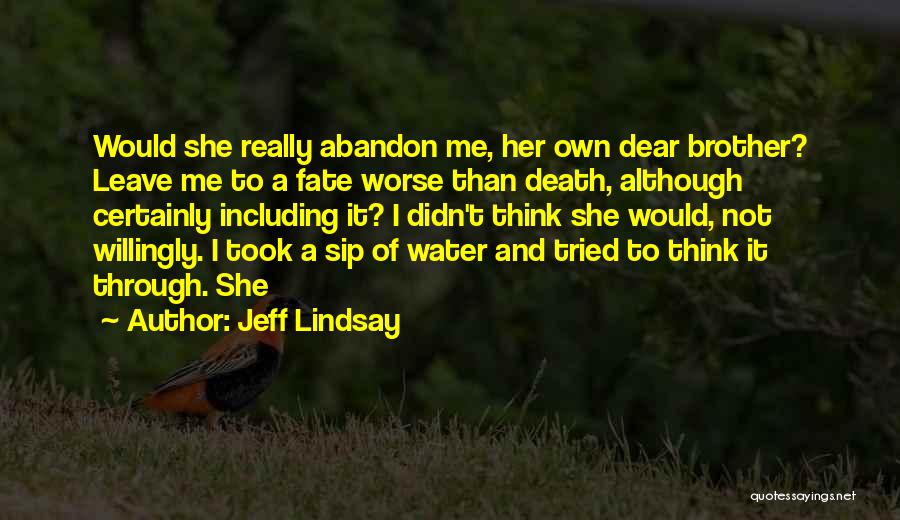 Dear Brother Quotes By Jeff Lindsay