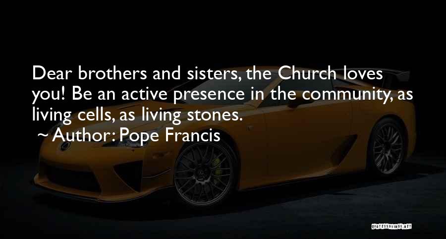 Dear Brother Quotes By Pope Francis