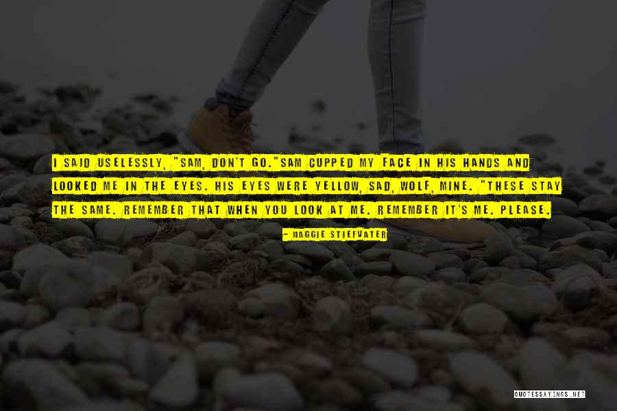 Dear Future Girlfriend Funny Quotes By Maggie Stiefvater Dear Future Girlfriend Funny Quotes By Maggie Stiefvater