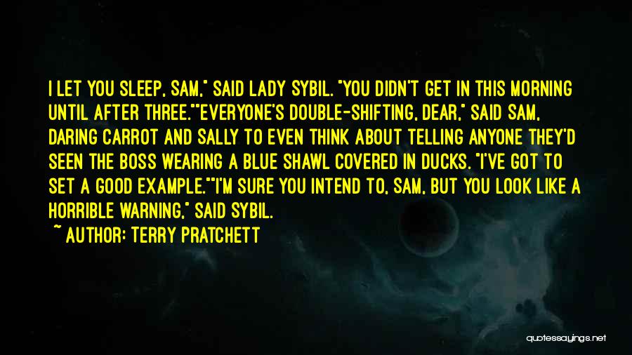 Dear Sleep Quotes By Terry Pratchett