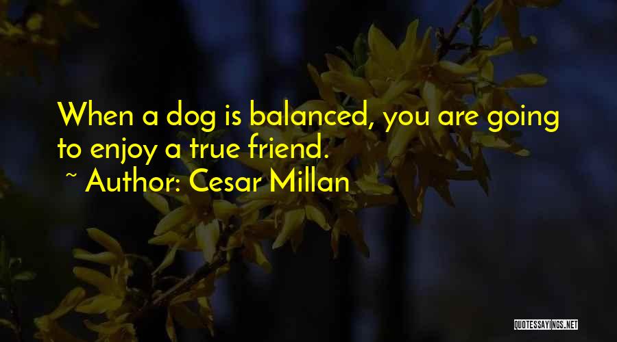 Dear Ulan Quotes By Cesar Millan