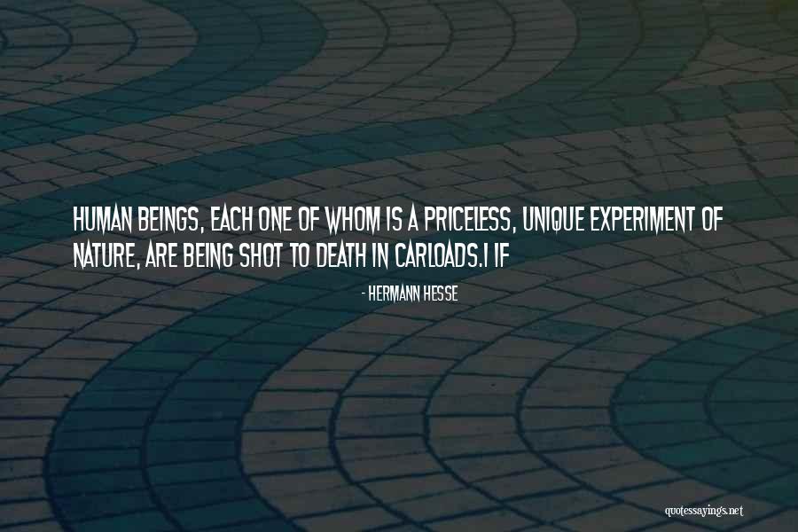 Death 1 Quotes By Hermann Hesse Death 1 Quotes By Hermann Hesse