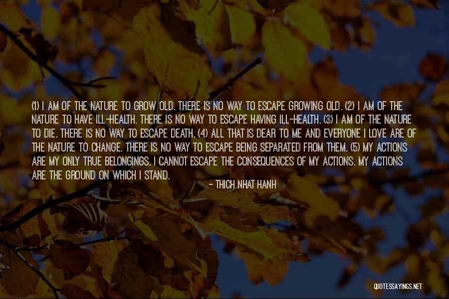 Death 1 Quotes By Thich Nhat Hanh Death 1 Quotes By Thich Nhat Hanh