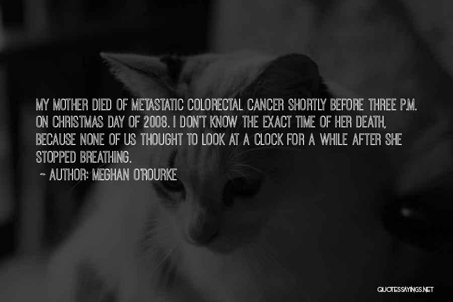 Death After Cancer Quotes By Meghan O'Rourke