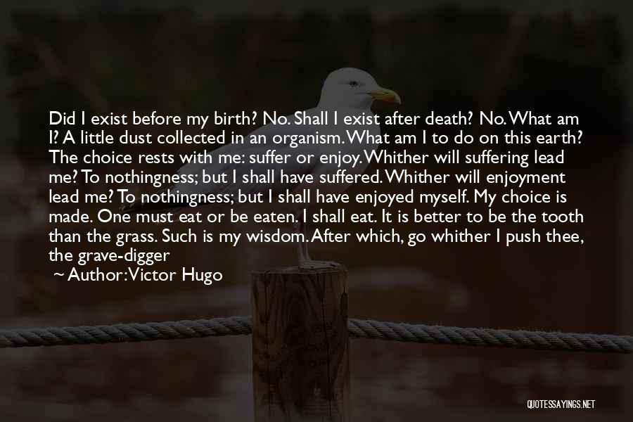 Death After Suffering Quotes By Victor Hugo