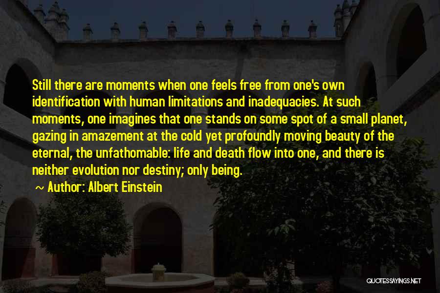 Death Albert Einstein Quotes By Albert Einstein