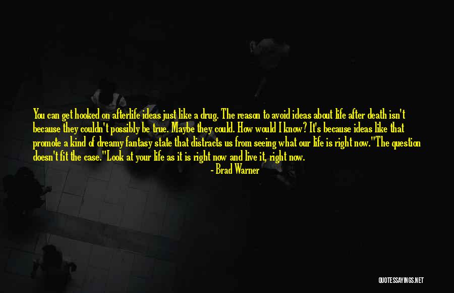Death And Afterlife Quotes By Brad Warner Death And Afterlife Quotes By Brad Warner