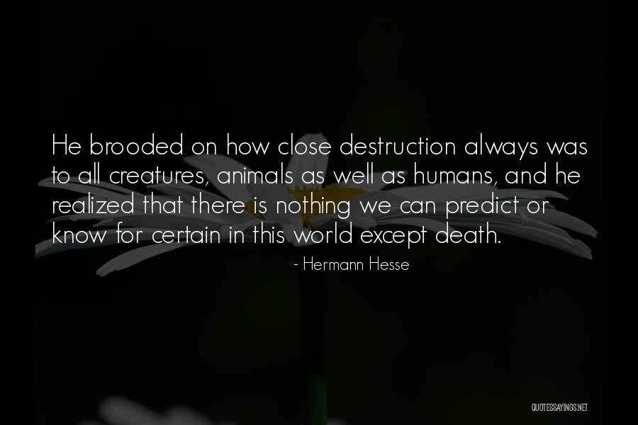 Death And Comfort Quotes By Hermann Hesse Death And Comfort Quotes By Hermann Hesse