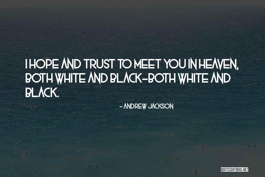 Death And Heaven Quotes By Andrew Jackson