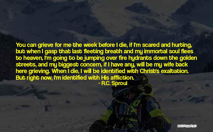 Death And Heaven Quotes By R.C. Sproul Death And Heaven Quotes By R.C. Sproul