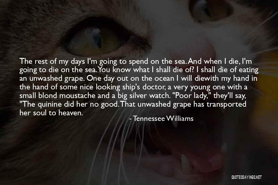 Death And Heaven Quotes By Tennessee Williams