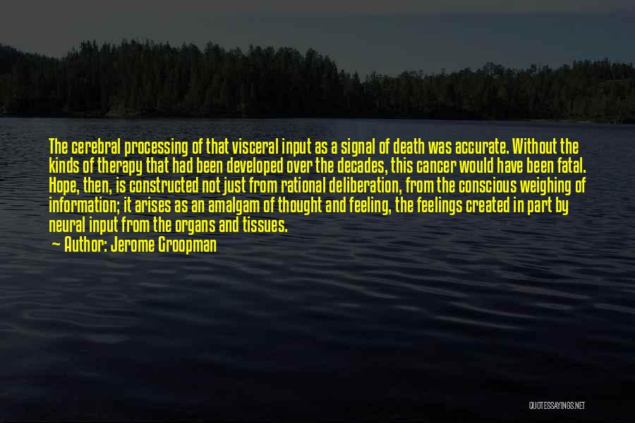 Death And Hope Quotes By Jerome Groopman