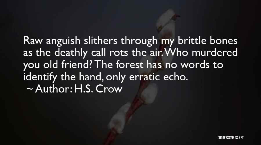 Death And Loss Of A Friend Quotes By H.S. Crow