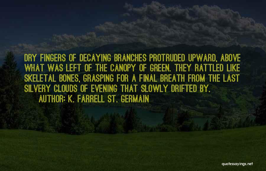 Death And Loss Of A Loved One Quotes By K. Farrell St. Germain