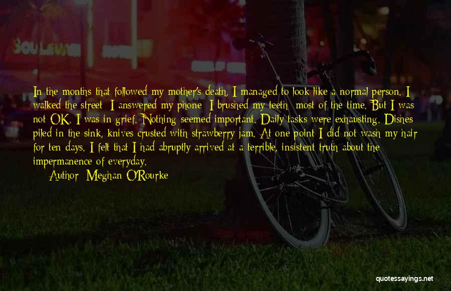 Death And Loss Of A Mother Quotes By Meghan O'Rourke