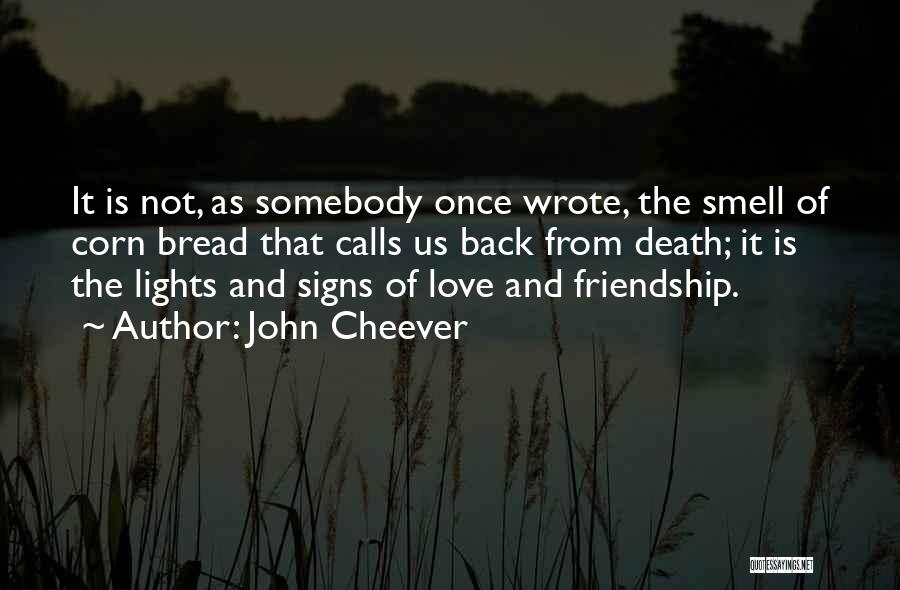 Death And Love Quotes By John Cheever