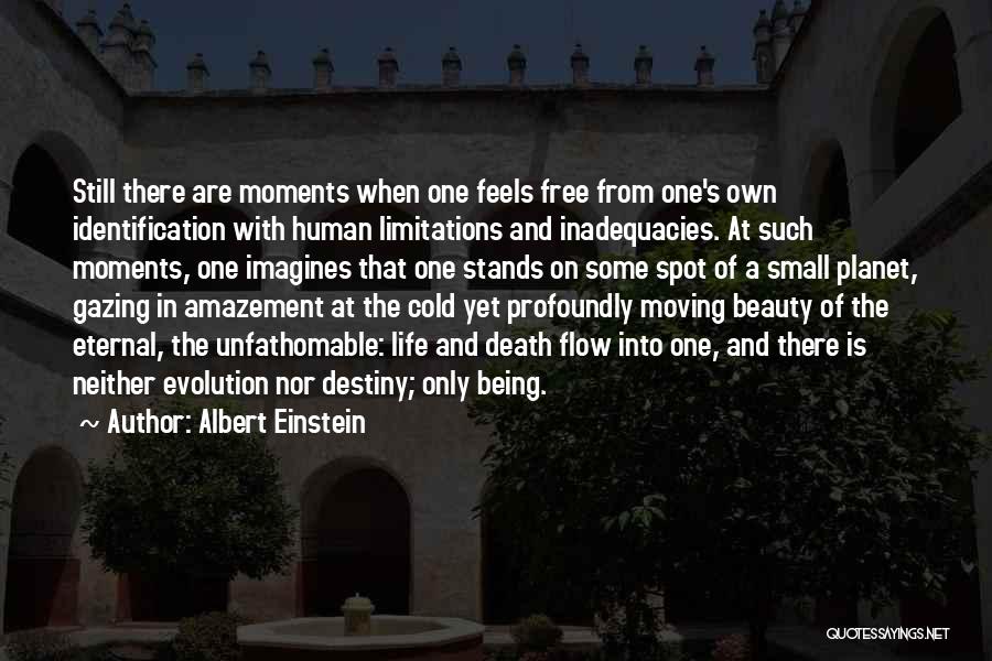 Death And Moving On Quotes By Albert Einstein