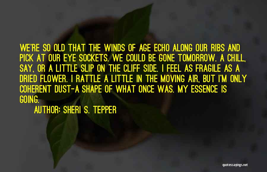 Death And Moving On Quotes By Sheri S. Tepper