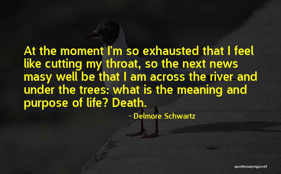 Death And Purpose Quotes By Delmore Schwartz Death And Purpose Quotes By Delmore Schwartz