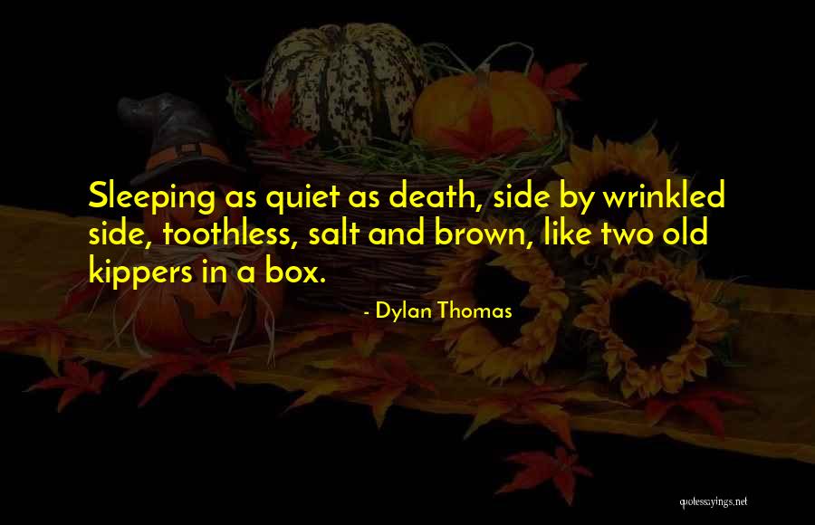 Death And Sleep Quotes By Dylan Thomas Death And Sleep Quotes By Dylan Thomas