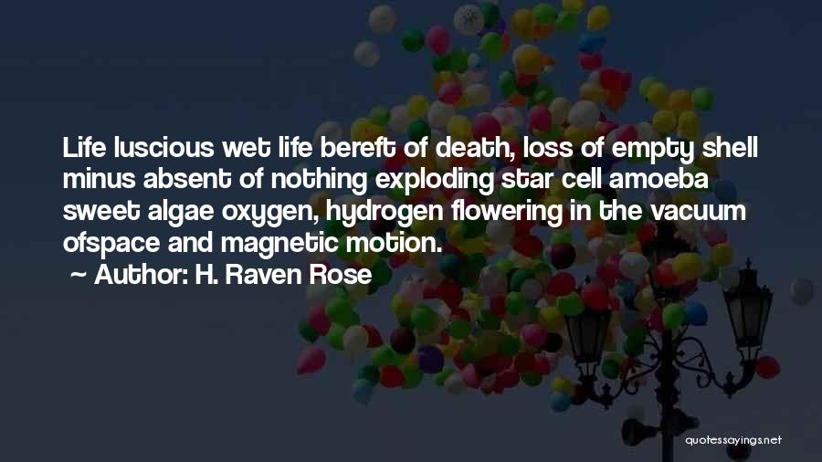 Death And Star Quotes By H. Raven Rose