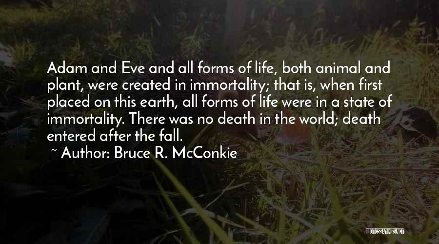Death And The After Life Quotes By Bruce R. McConkie