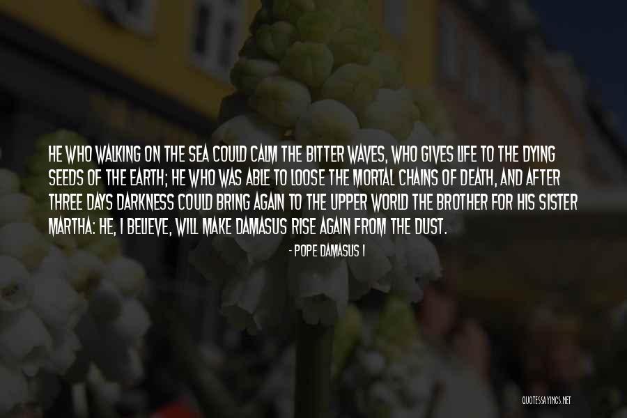 Death And The After Life Quotes By Pope Damasus I Death And The After Life Quotes By Pope Damasus I
