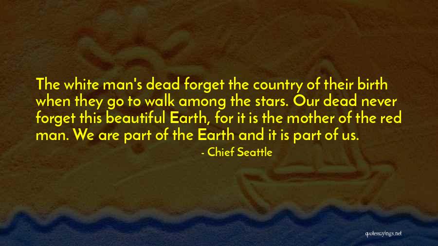 Death And The Stars Quotes By Chief Seattle