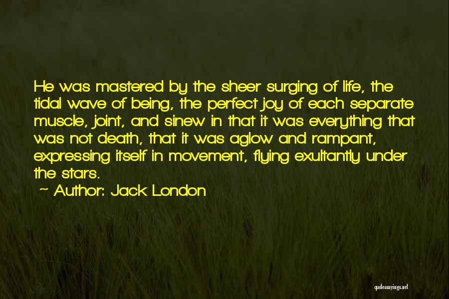 Death And The Stars Quotes By Jack London