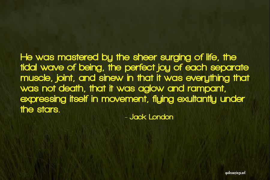 Death And The Stars Quotes By Jack London