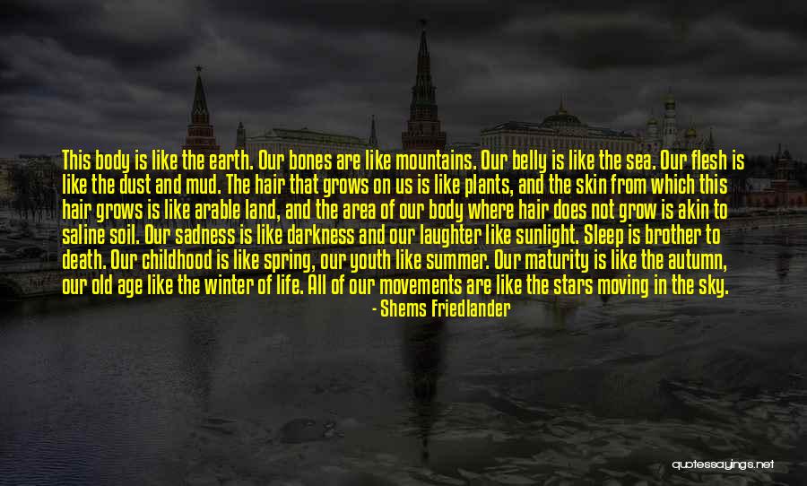 Death And The Stars Quotes By Shems Friedlander