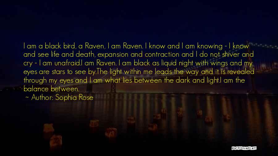 Death And The Stars Quotes By Sophia Rose