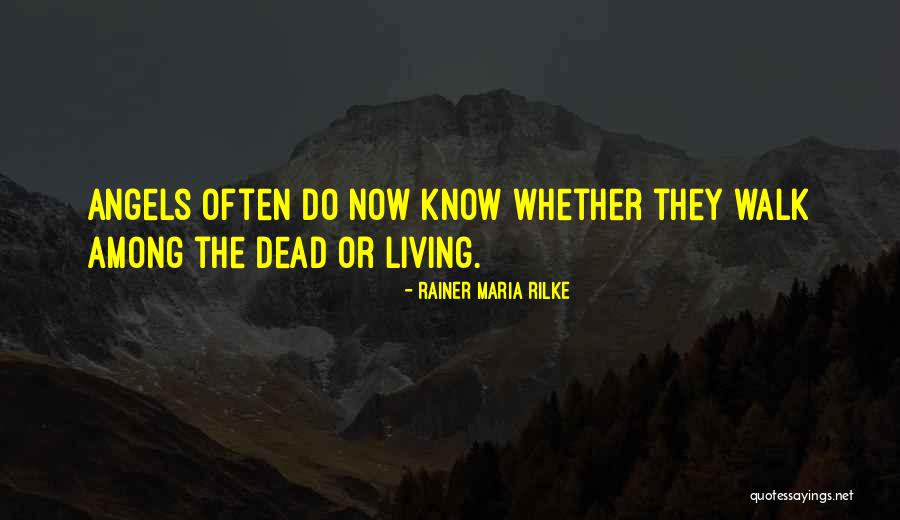 Death Angels Quotes By Rainer Maria Rilke Death Angels Quotes By Rainer Maria Rilke