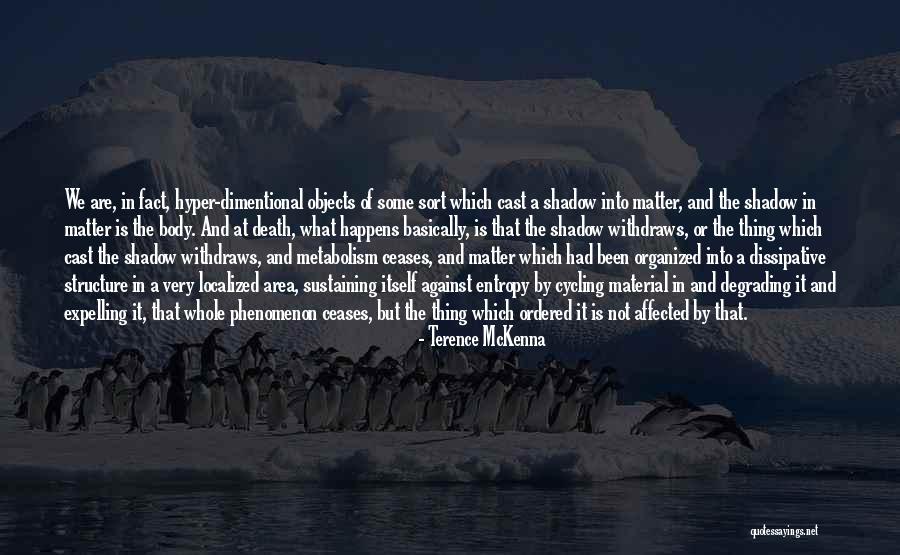 Death Area Quotes By Terence McKenna Death Area Quotes By Terence McKenna