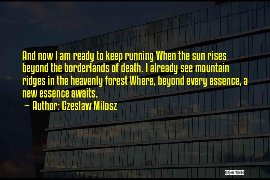 Death Awaits Quotes By Czeslaw Milosz