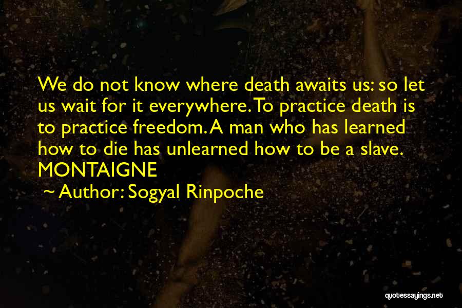 Death Awaits Quotes By Sogyal Rinpoche