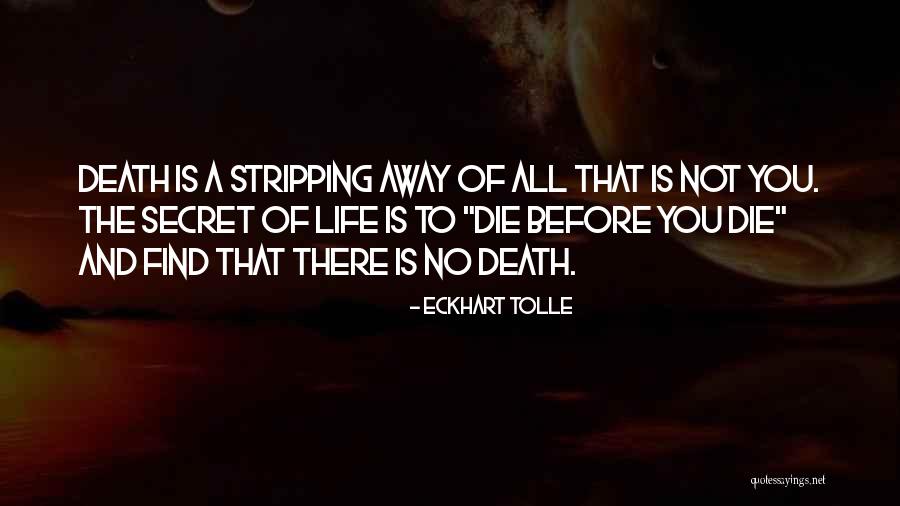 Death Before Life Quotes By Eckhart Tolle