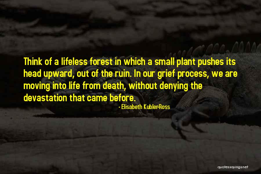 Death Before Life Quotes By Elisabeth Kubler-Ross