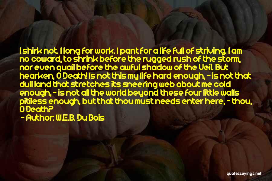 Death Before Life Quotes By W.E.B. Du Bois