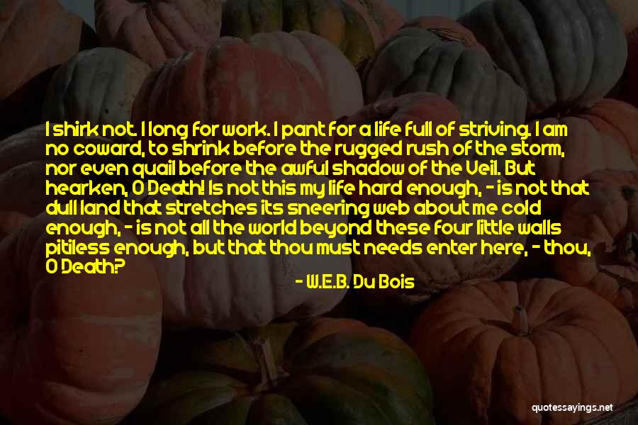 Death Before Life Quotes By W.E.B. Du Bois