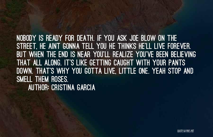 Death Blow Quotes By Cristina Garcia