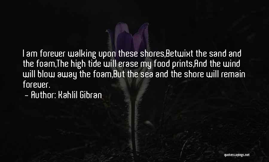 Death Blow Quotes By Kahlil Gibran