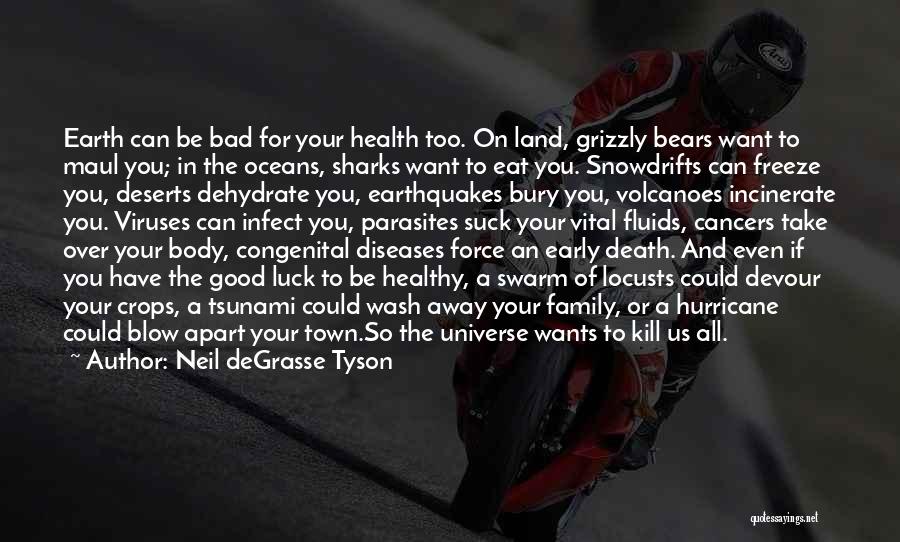 Death Blow Quotes By Neil DeGrasse Tyson