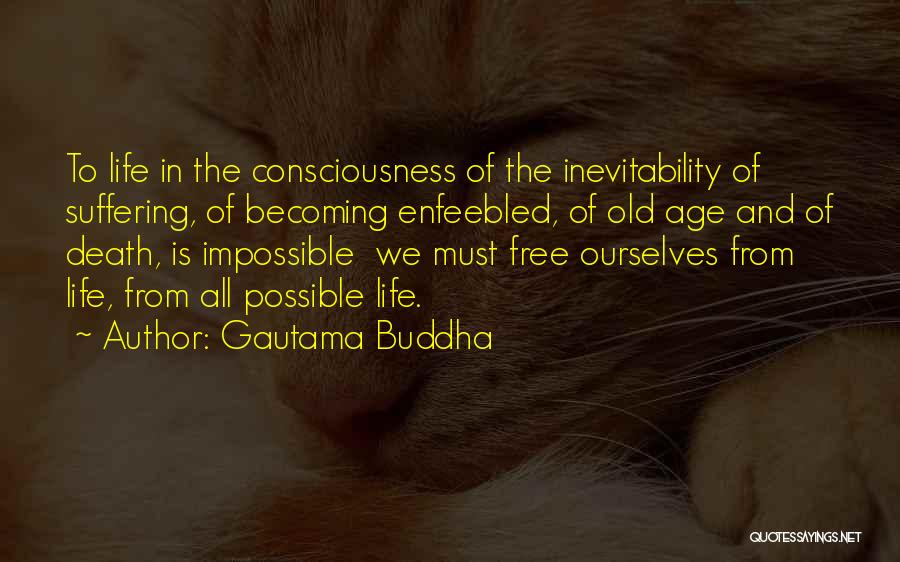 Death Buddha Quotes By Gautama Buddha