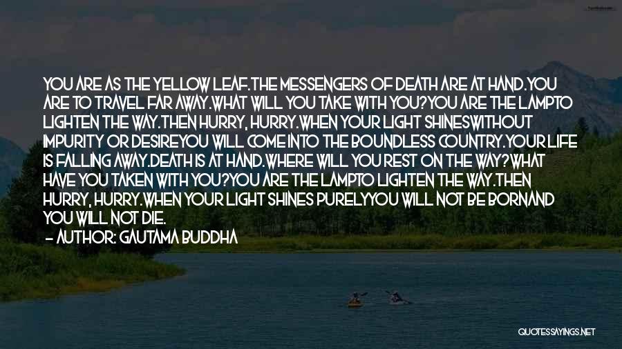 Death Buddha Quotes By Gautama Buddha