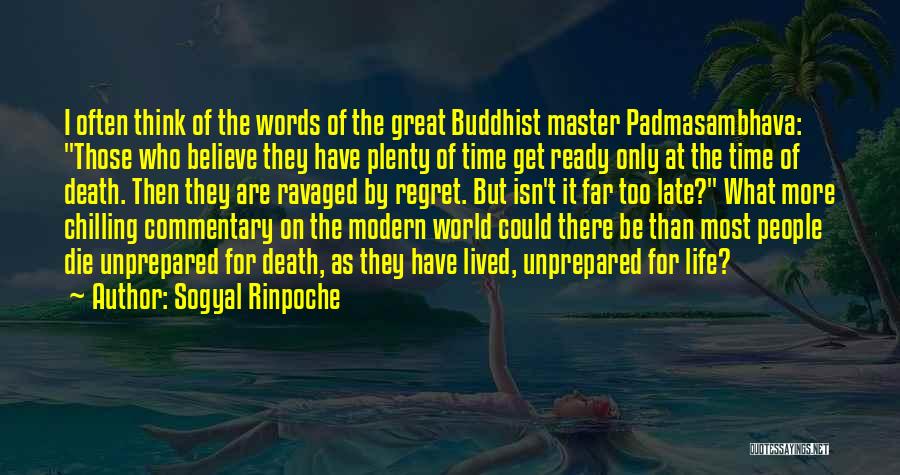 Death Buddhist Quotes By Sogyal Rinpoche