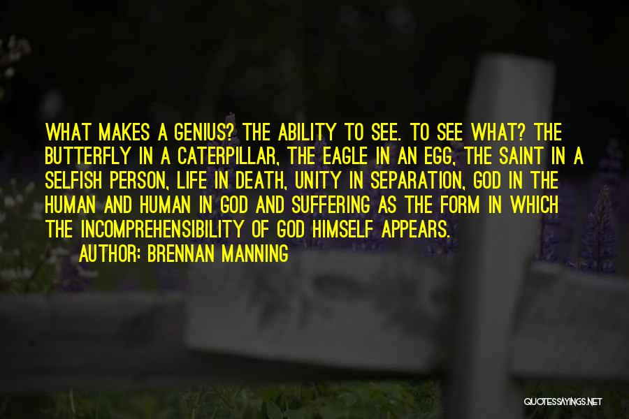 Death Butterfly Quotes By Brennan Manning